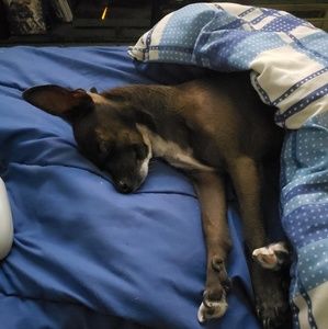 Meet your Posher, Rosemarie